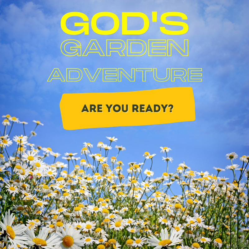 God's Garden Adventure