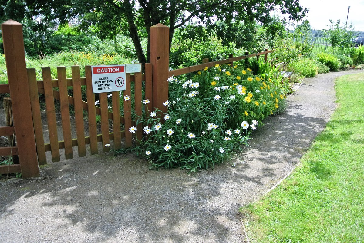 Green meadow edge at St Peter's in Fairwater