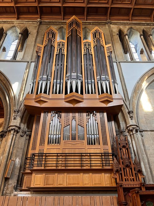 cathedral organ.jpeg