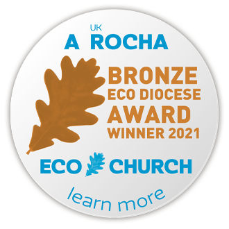 Bronze Eco Diocese Badge