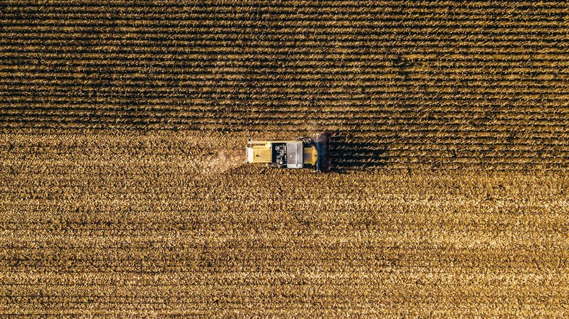 Harvest Season