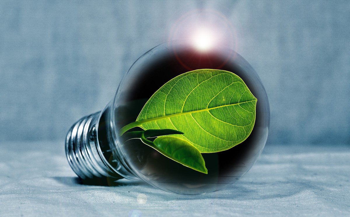 light-bulb-2631864_1920.jpg